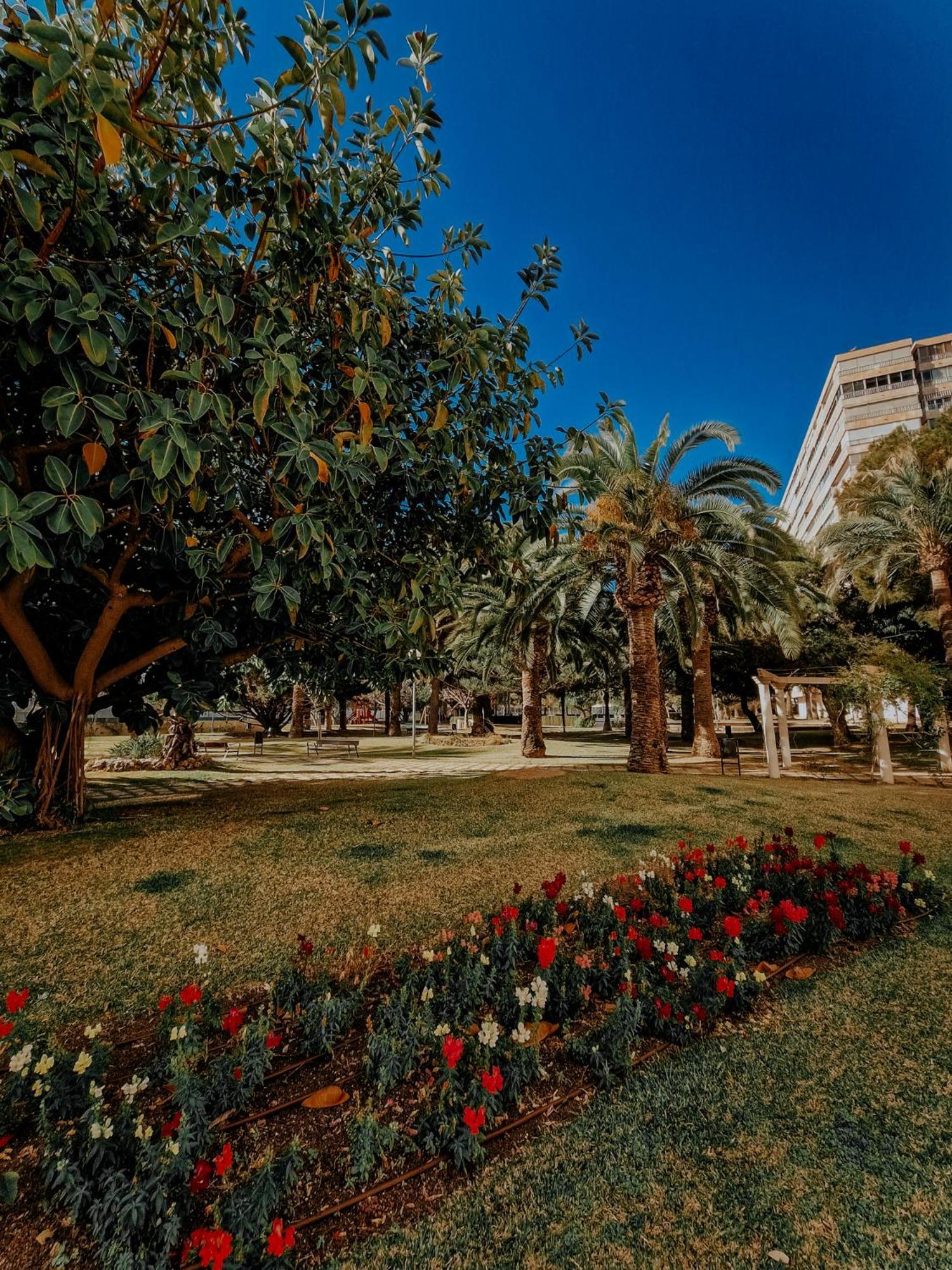 Sea Apartment Alicante Ngoại thất bức ảnh